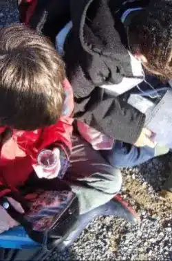 Key Stage 2 Field Trips