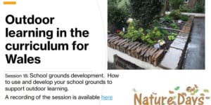 Session 18: School grounds development