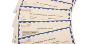 Maths and numeracy challenge cards