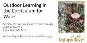 Session 10: Practical ideas to teach through outdoor learning. Expressive arts AOLE.